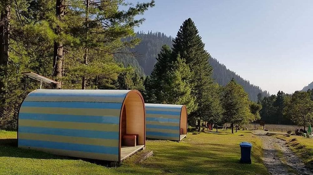 15+ Forest Camping Pods