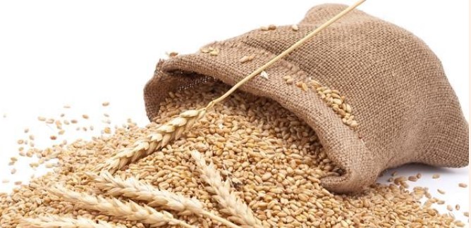 EEC - announcing -wheat-support-price-of -Rs-1661-for-every-40 kg