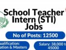 Sti-teaching-jobs-2025-