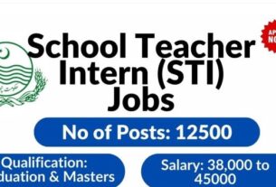 Sti-teaching-jobs-2025-