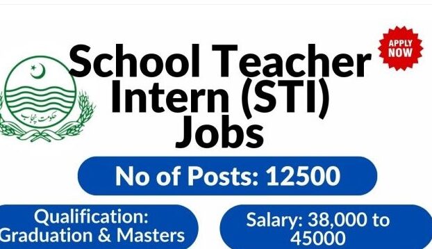 Sti-teaching-jobs-2025-