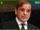 India will have to pay price for its blunder: PM Shehbaz