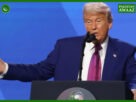 Pakistan Delegation to Visit U.S. for Trade Talks: Trump