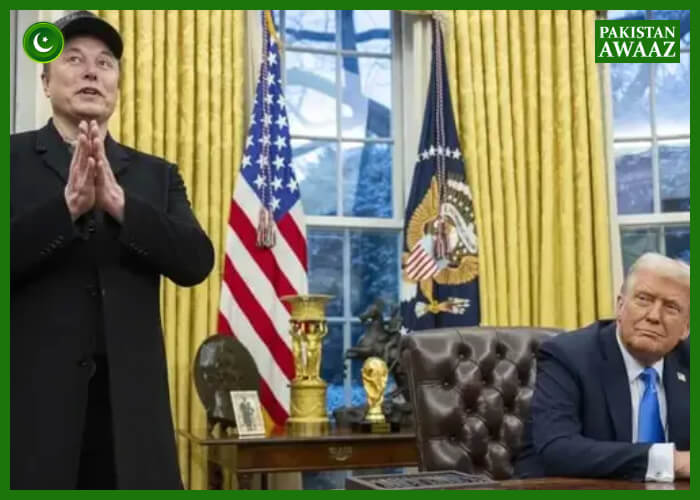 Elon Musk quits Trump administration