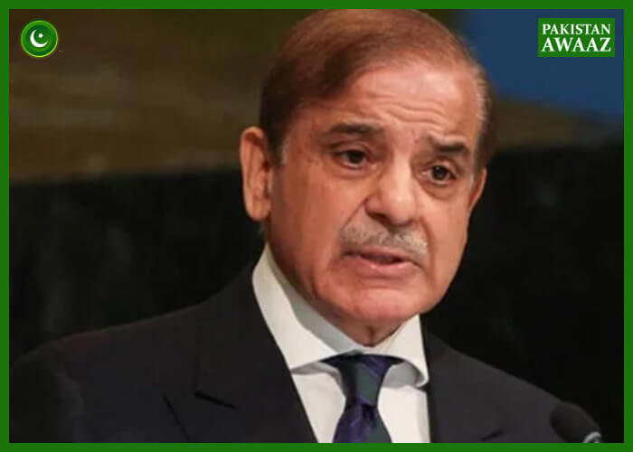 India will have to pay price for its blunder: PM Shehbaz